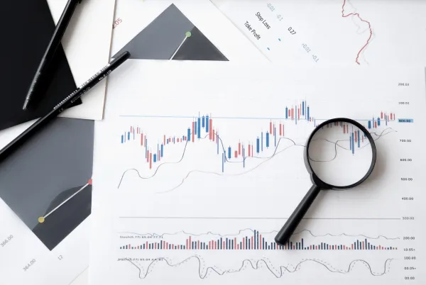 Law Firm Growth Advisor